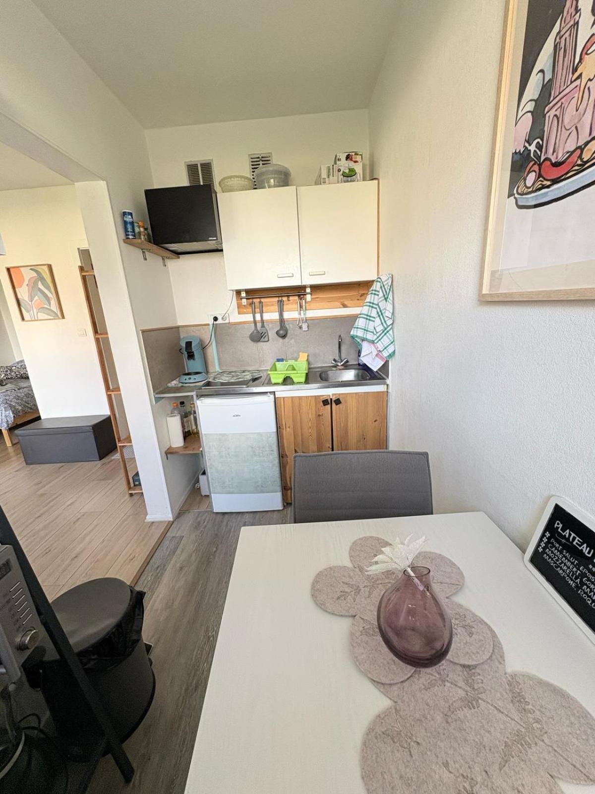 Lumineux 1 Pièce Avec Parking Fermé Et Arrêt De Tram à 100 M Appartement